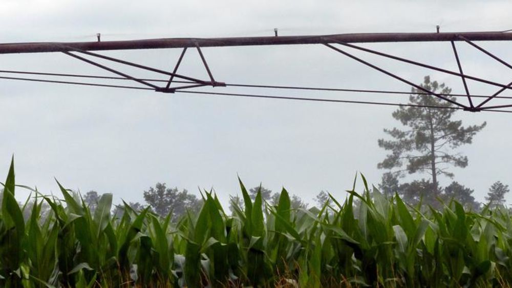 © Ana Cassigneul/GFA